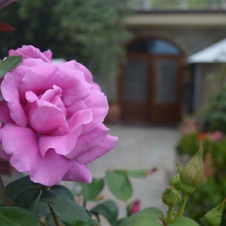 B&B Nonna Valentina Centola Esterno foto